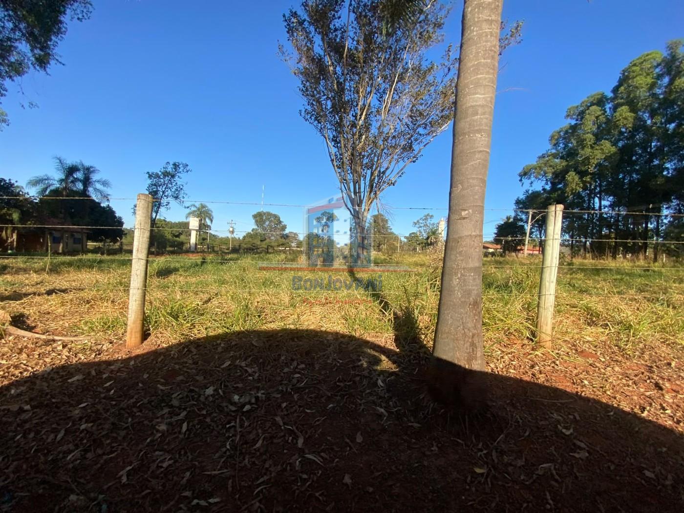 Terreno, 12 hectares - Foto 2