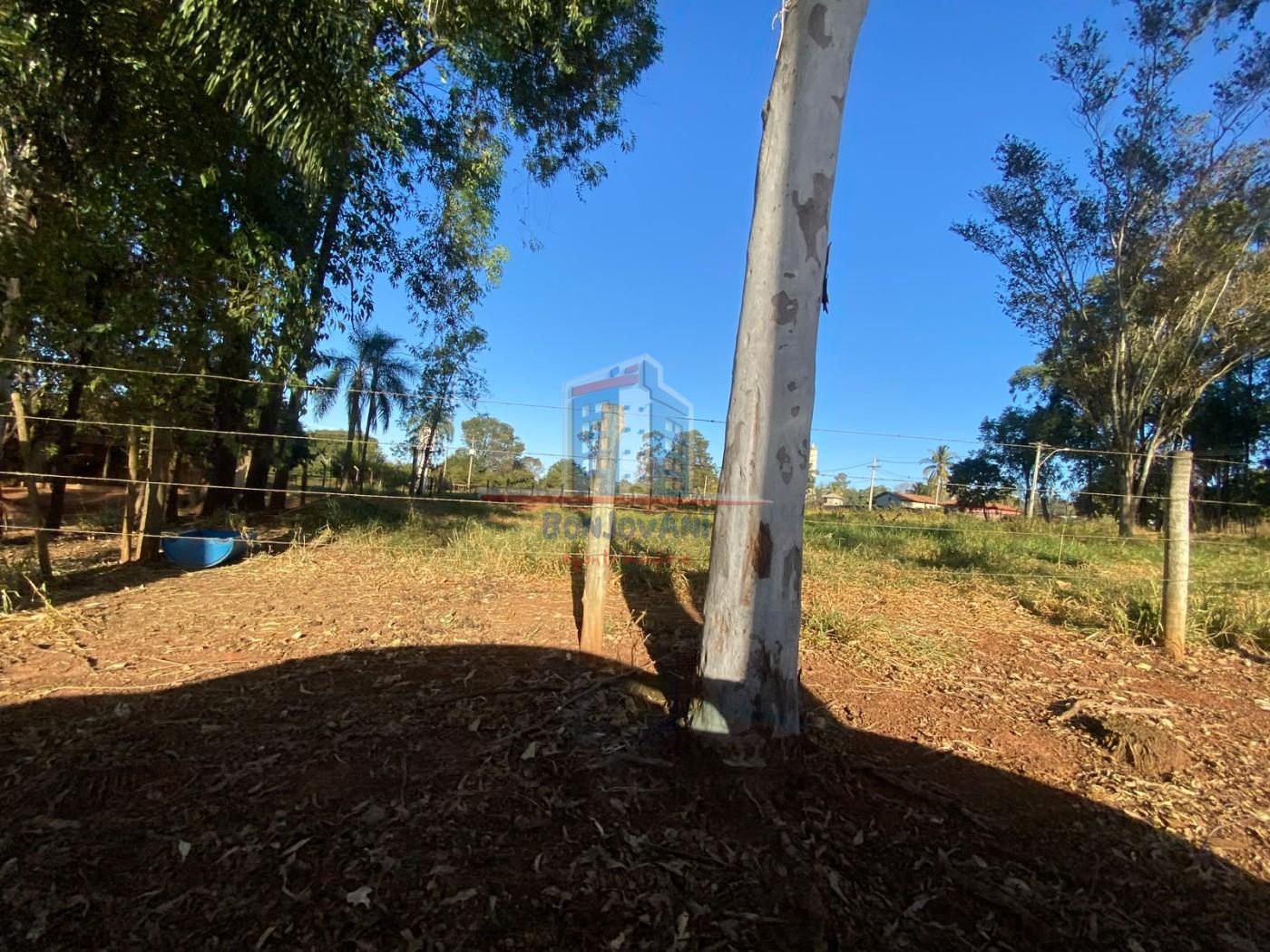 Terreno, 12 hectares - Foto 3
