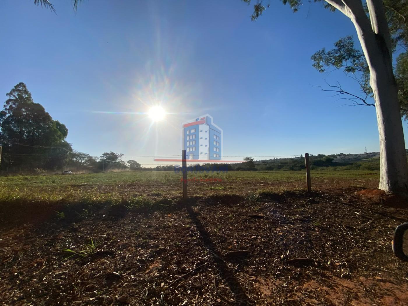 Terreno, 12 hectares - Foto 8