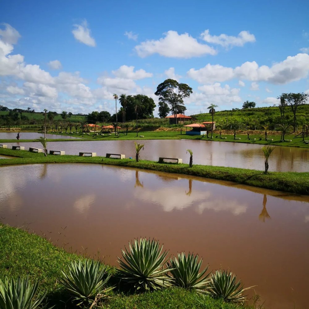 Stio - Venda - rea Rural de Mirassol - Mirassol - SP