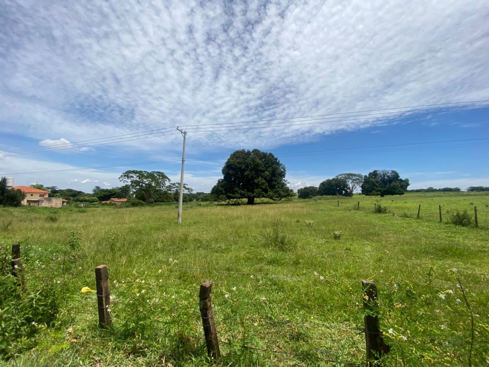 rea - Venda - Zona Rural - So Jos do Rio Preto - SP