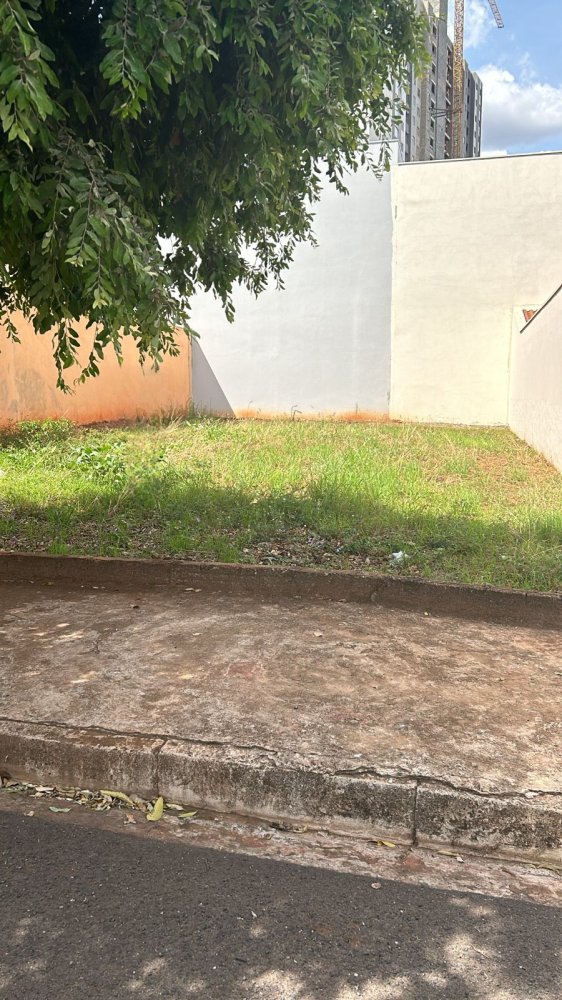 Terreno - Venda - Residencial Palestra - So Jos do Rio Preto - SP