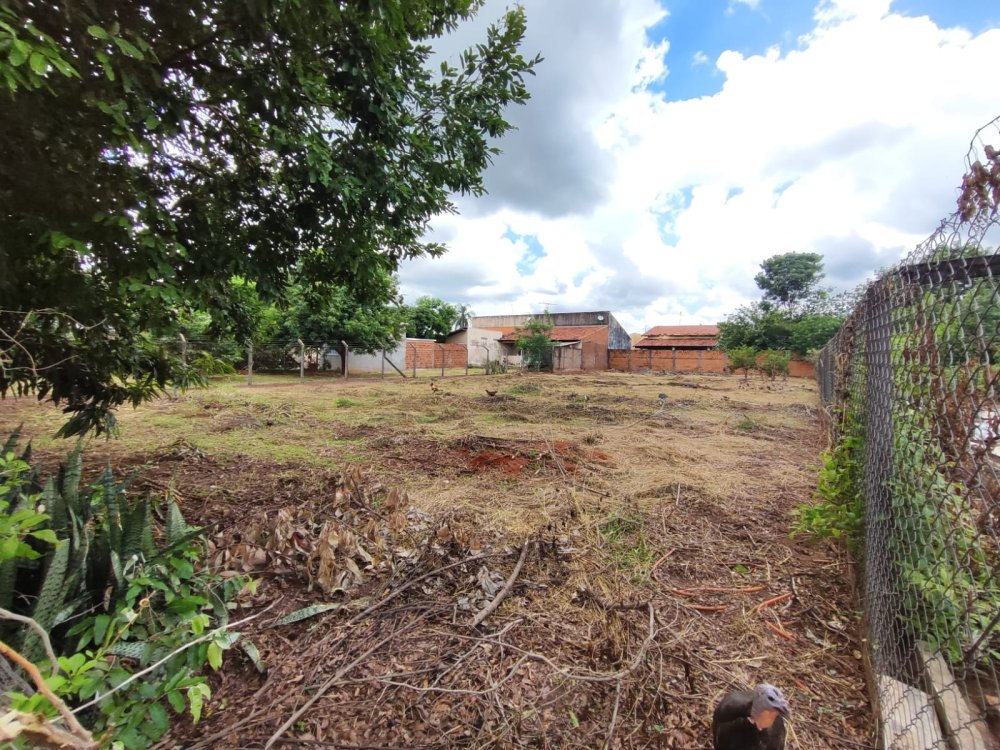 Terreno - Venda - Residencial Vista Alegre II e III (zona Rural) - So Jos do Rio Preto - SP