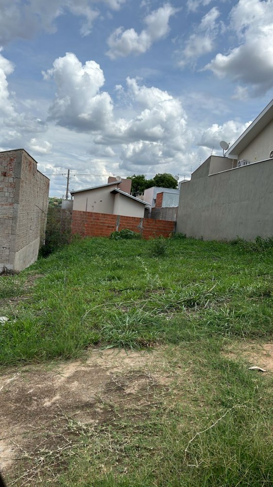Terreno - Venda - Residencial Palestra - So Jos do Rio Preto - SP